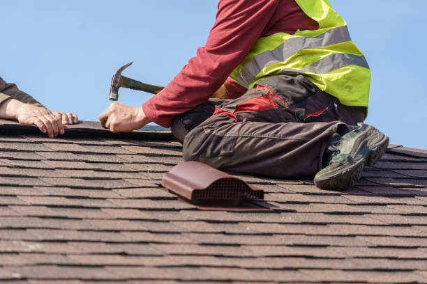 Best Roof Gutter Cleaning  in Danville, VA