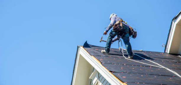 Best New Roof Installation  in Danville, VA